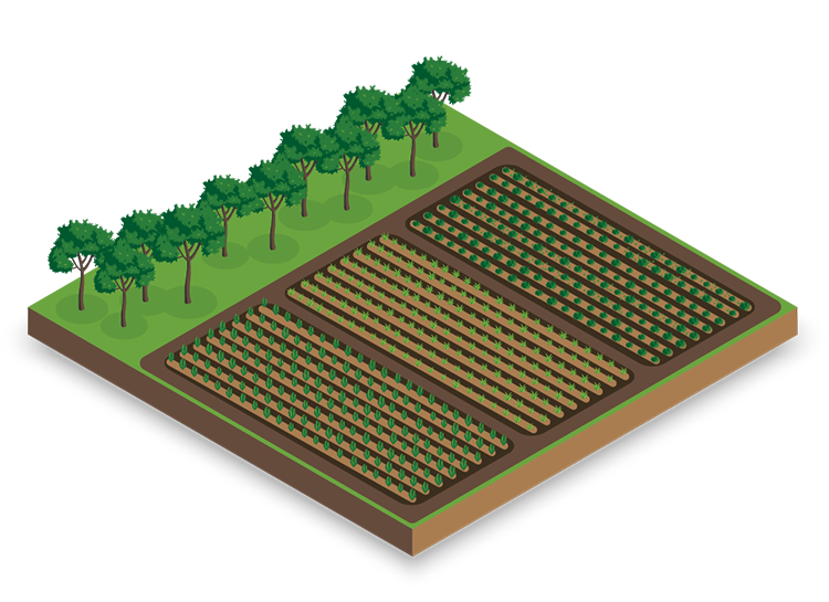 tenencia de la tierra